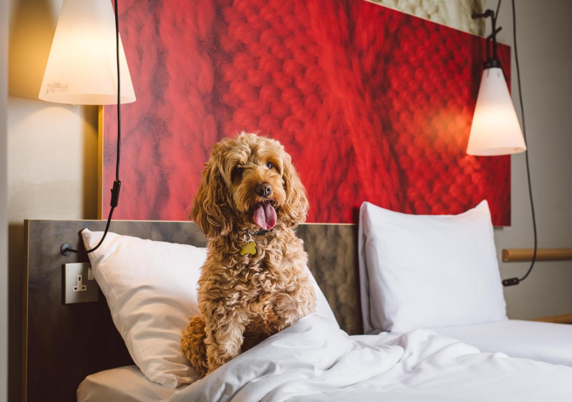 Ibis Excel-docklands Londres